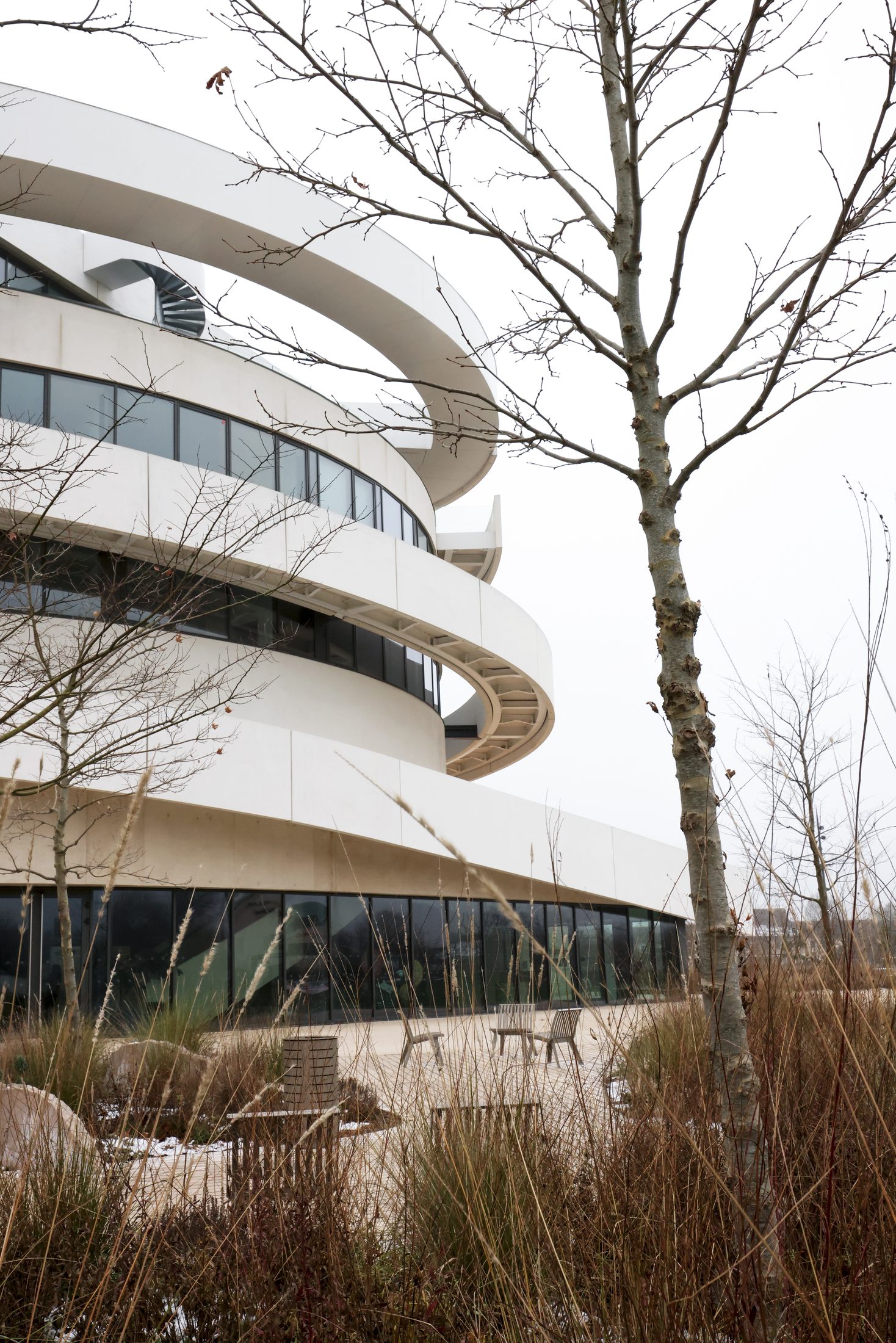Cité des Climats et des Vins de Bourgogne — Emmanuelle Andreani Architectes, Beaune — photographie Koja Studio, vue 5