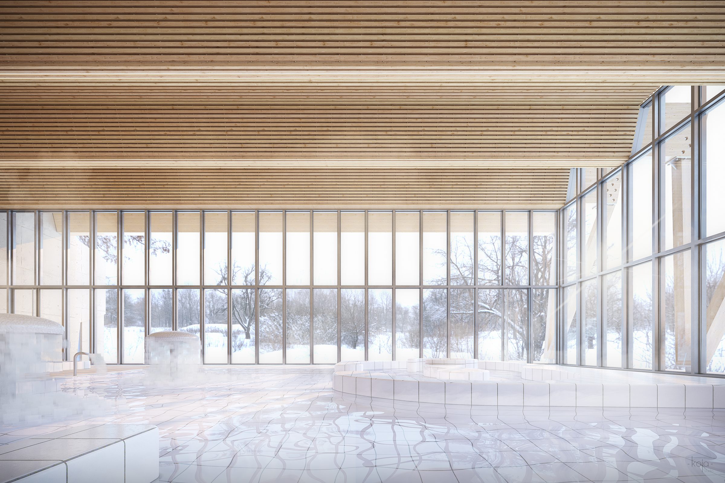 Centre aquatique et spa — Studio T · Suisse · Projet lauréat · 2025 — vue 3
